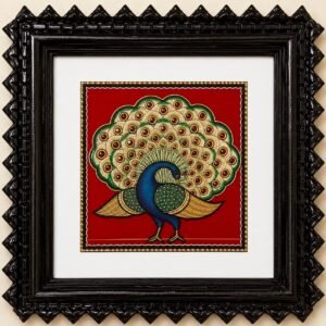 Peacock in Full Plume